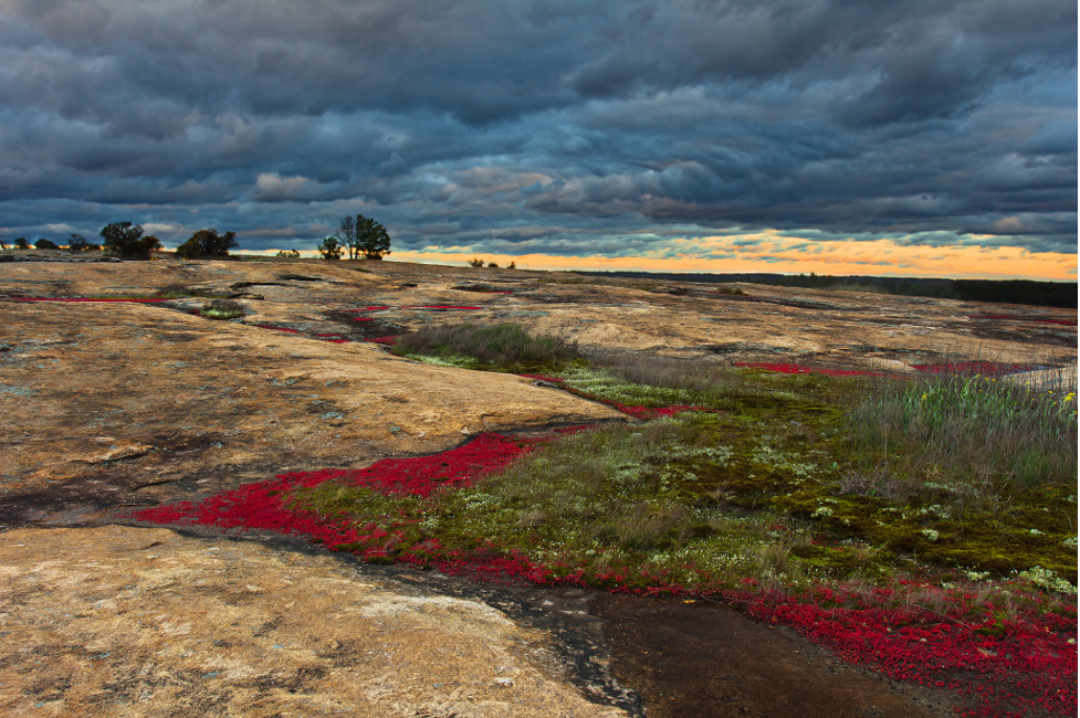 Arabia Mountain National Heritage Park