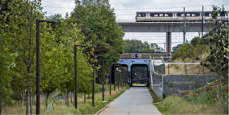 Atlanta Beltline Arboretum Westside Trail Tree Tour