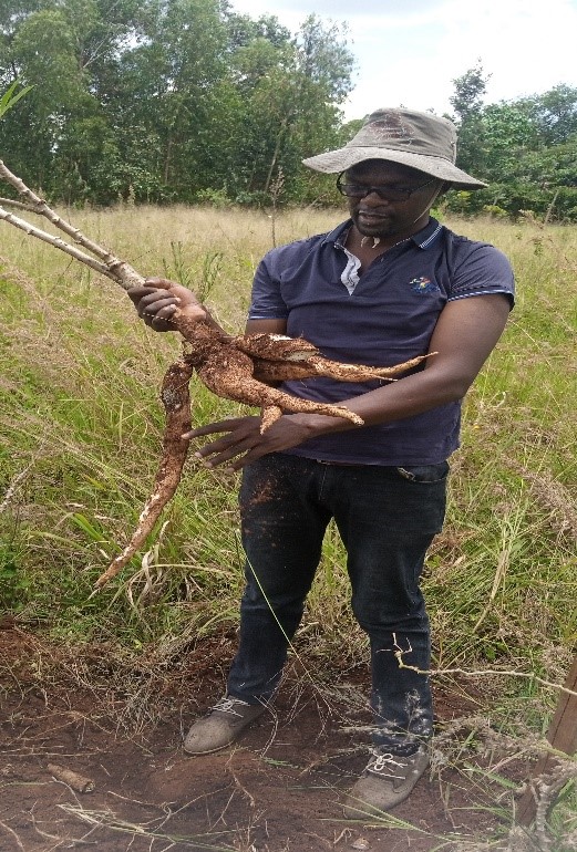 Charles Nyarang’o Nyamwamu