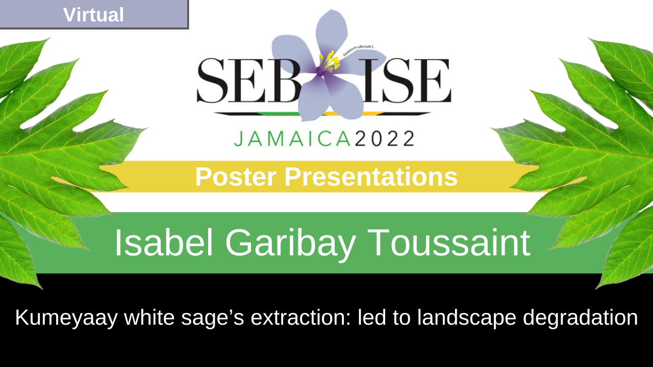Poster Presentation Video: Isabel Garibay Toussaint