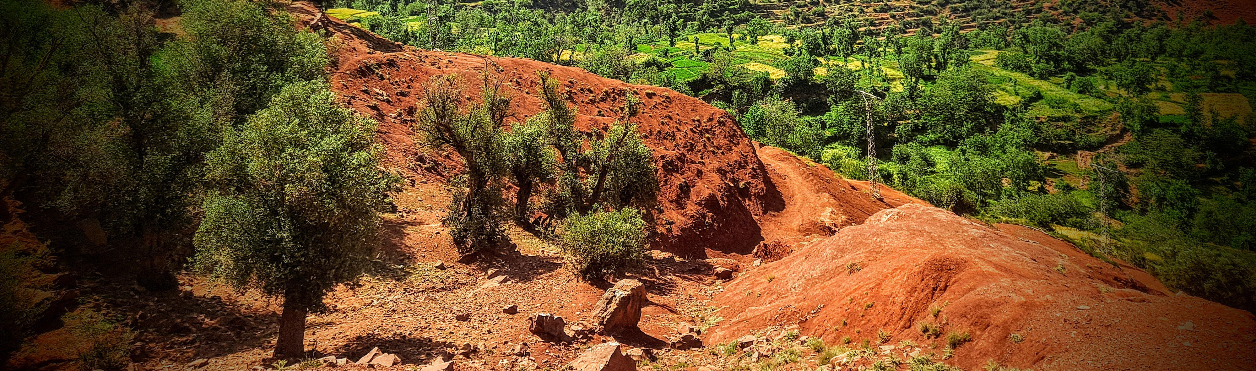 Red hill with green trees