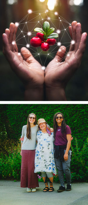 Hand holding a floating plant in a light matrix and a group of three people, one of which is Laura Bystrom.
