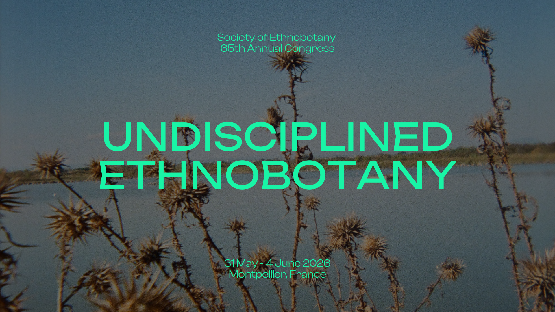 Montpellier Welcome Page