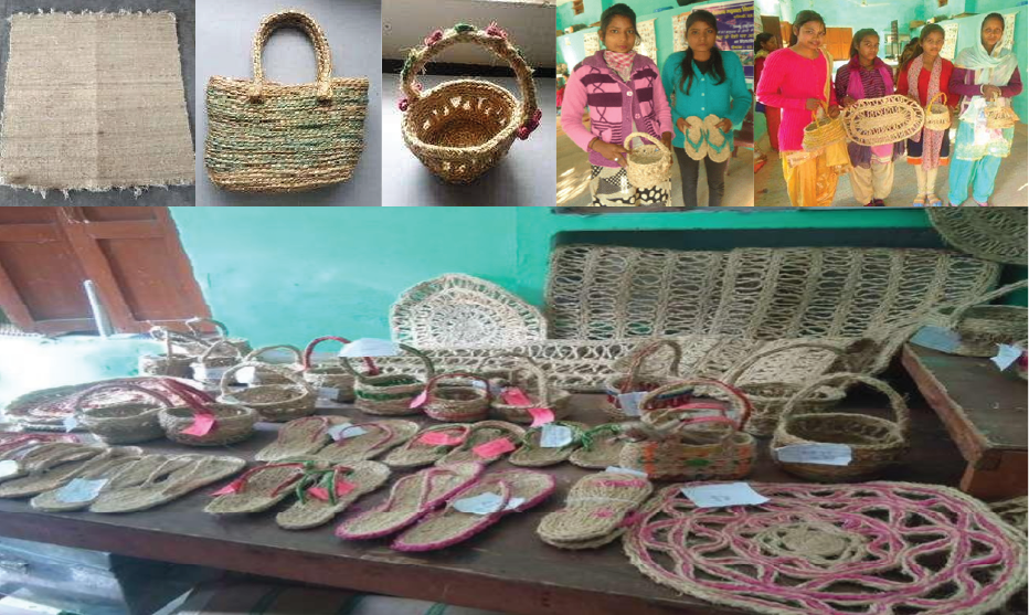 Fiber products manufactured by the villagers