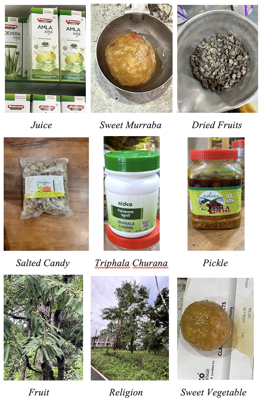 Different Uses of Amla (By Rural Populace)