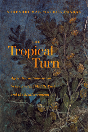 The Tropical Turn