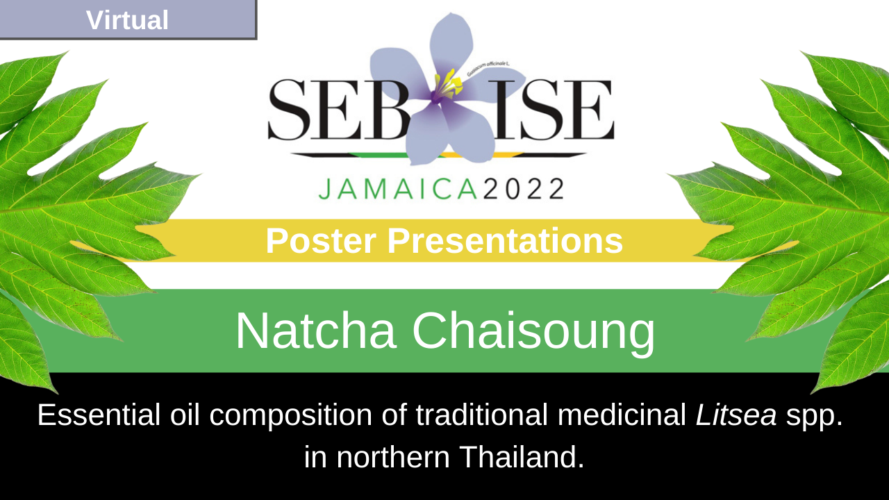 Natcha Chaisoung
