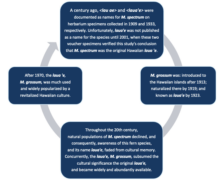 A synopsis of the reconstructed history of the Hawaiian plant name laua‘e (from Anderson-Fung 2023)  