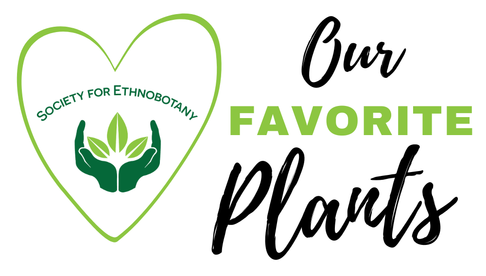 Our Favorite Plants Logo